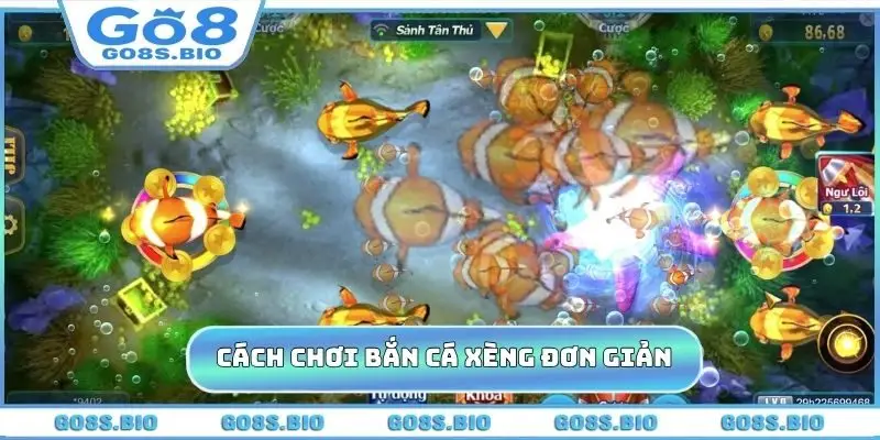 Cách chơi bắn cá xèng đơn giản cho newbie