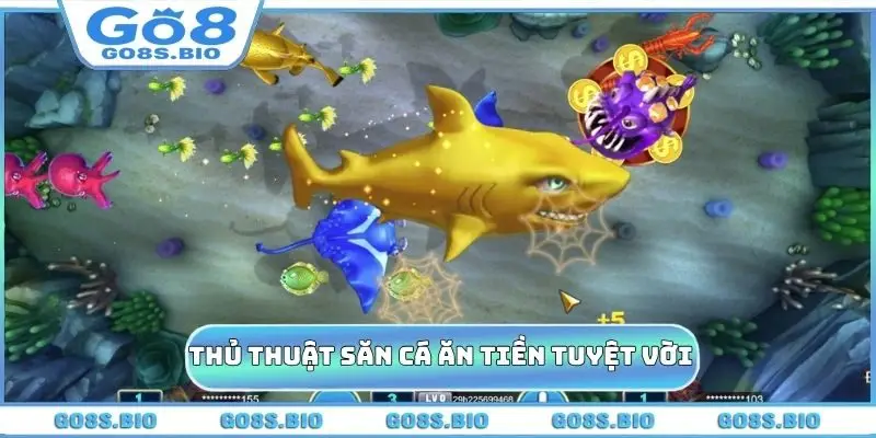 Thủ thuật săn cá ăn tiền tuyệt vời ông mặt trời