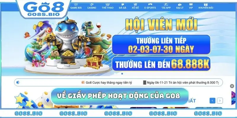 Về giấy phép hoạt động của GO8