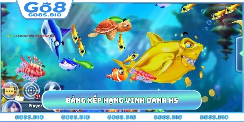 Bảng xếp hạng vinh danh H5
